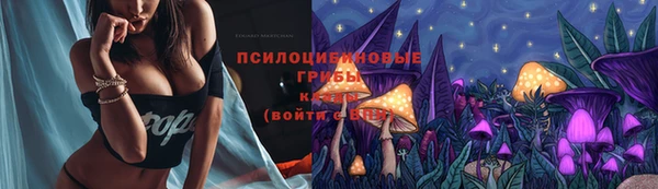 гашик Мегион