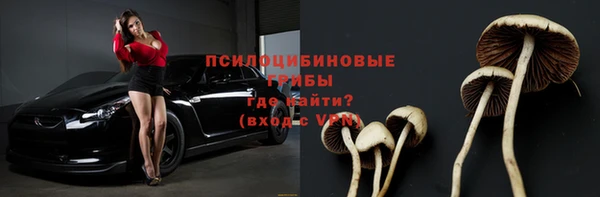 мескалин Медногорск