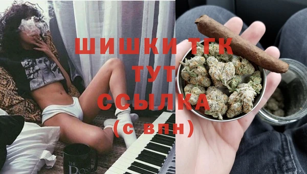 гашик Мегион