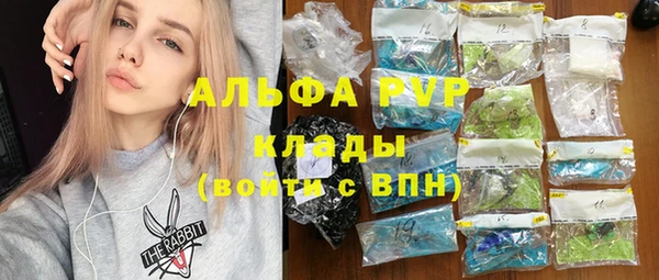 гашик Мегион