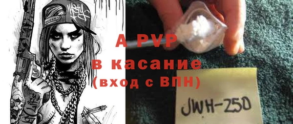 гашик Мегион