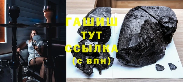 гашик Мегион