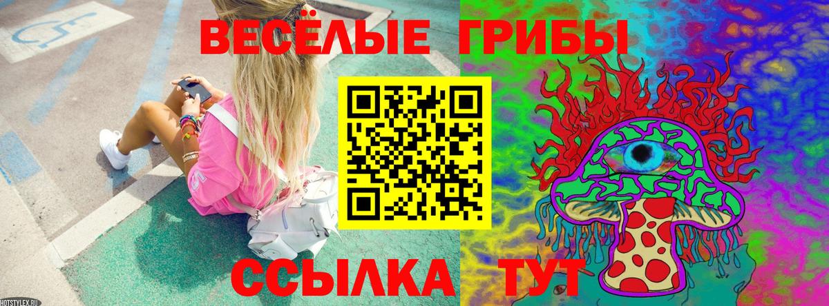 наркота  Псилоцибиновые грибы MAGIC MUSHROOMS  Вход с VPN  Псилоцибиновые грибы ЛСД  Мурино 
