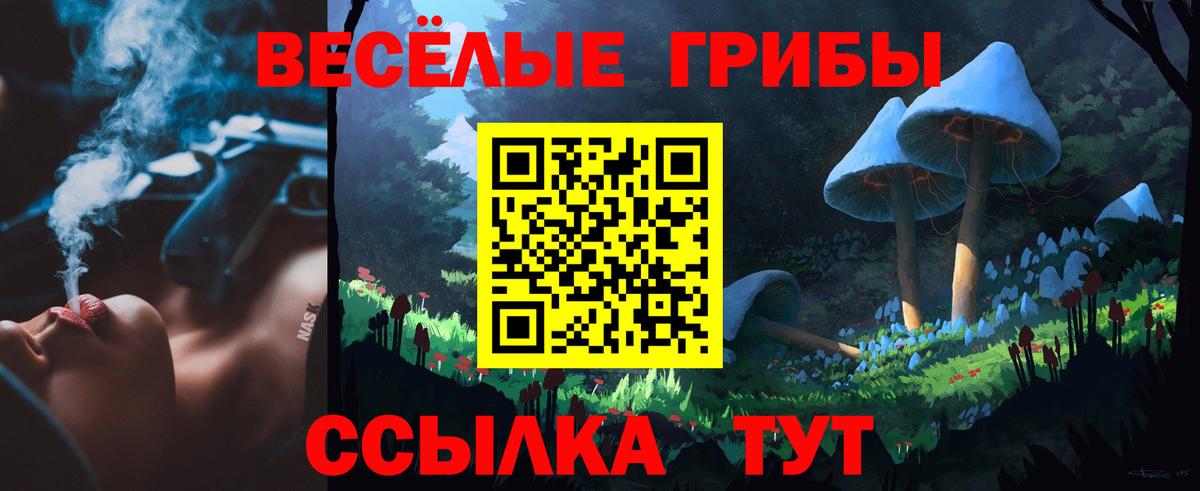 Псилоцибиновые грибы Cubensis Мурино